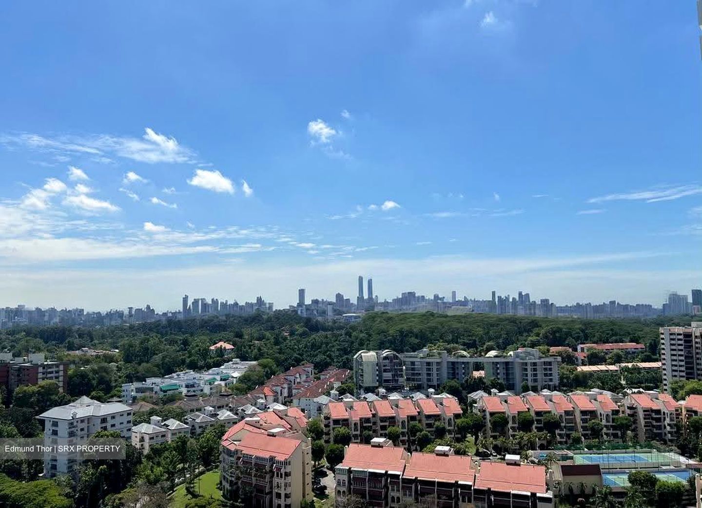 D'Leedon (D10), Condominium #640247421